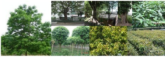 大学生党课学习个人总结与体会（精选29篇）(图1)